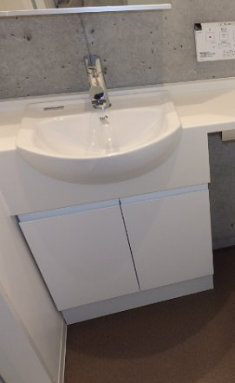 洗面設備　他部屋参考写真