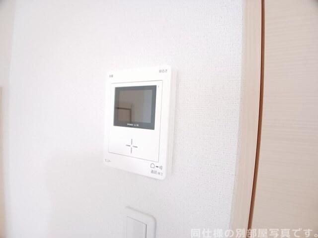 クリサンセマムのその他写真