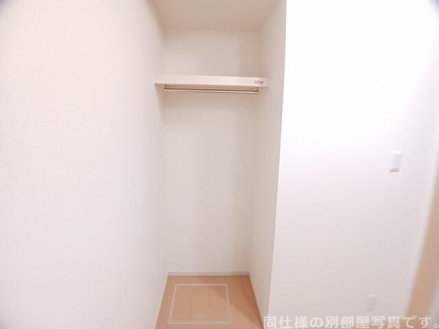 クリサンセマムのその他写真