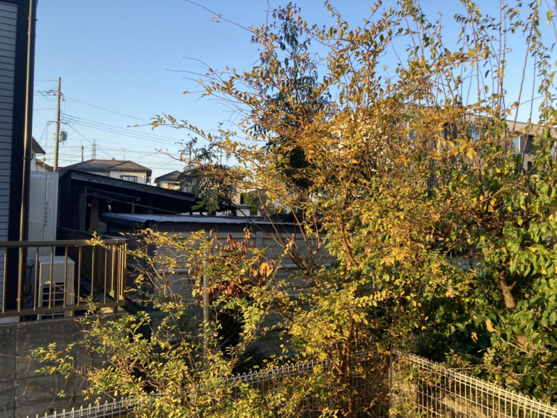 眺望