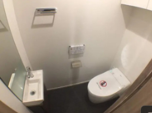 ＪＲ総武線快速 馬喰町駅 徒歩4分 12階建 築8年のトイレ写真