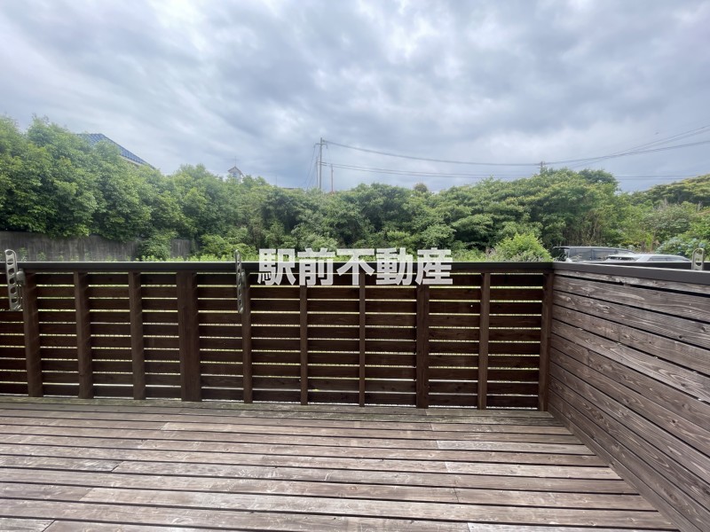 エブリポターミのその他写真