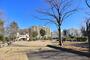 公園　赤羽公園（公園）まで509m