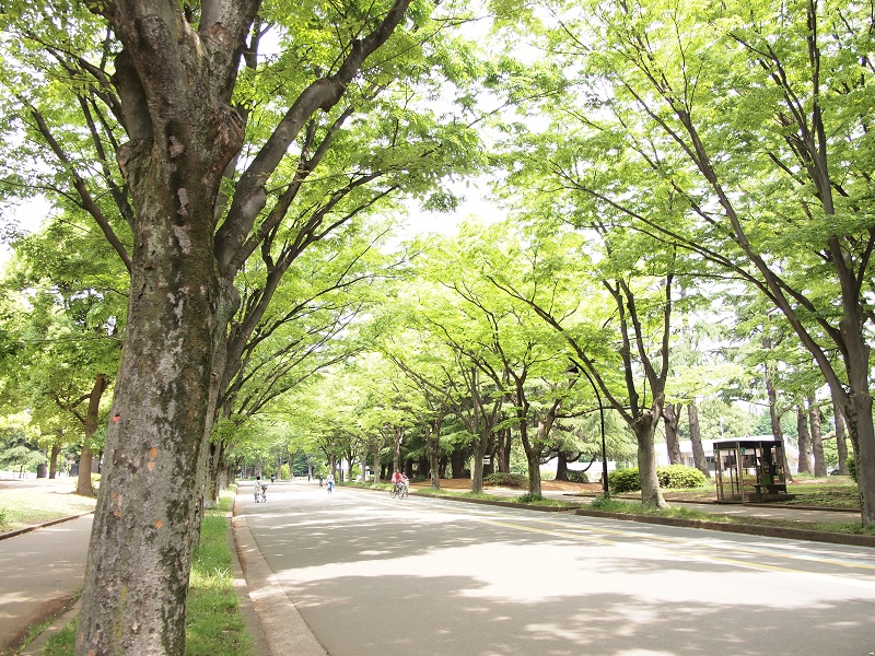 駒沢公園ハイツの周辺写真