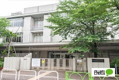 小学校　世田谷区立駒沢小学校（小学校）まで530m