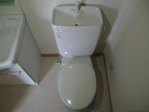 トイレ　トイレ