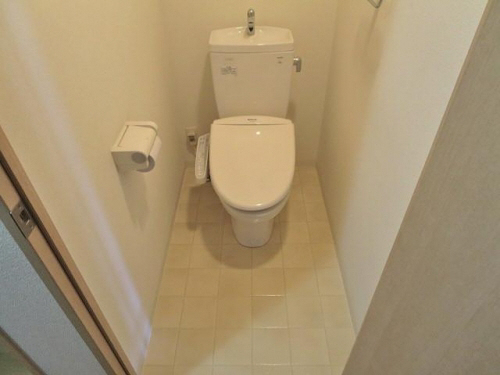 北大阪急行 桃山台駅 徒歩7分 7階建 築19年のトイレ写真