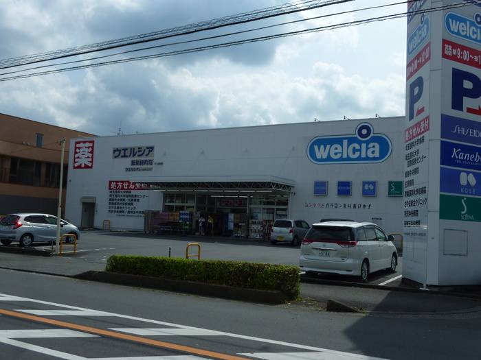 ドラックストア　ウェルシア飯能緑町店（ドラッグストア）まで689m