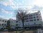 病院　（財）慈山会医学研究所付属坪井病院（病院）まで932m
