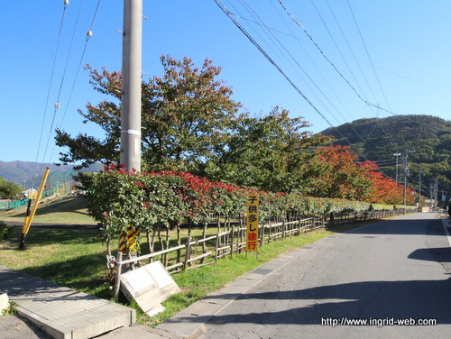 公園　科野の里ふれあい公園（公園）まで771m