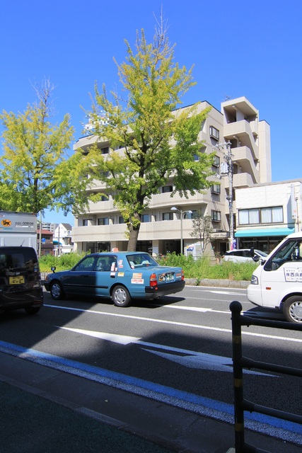 【松山市本町のマンションの建物外観】