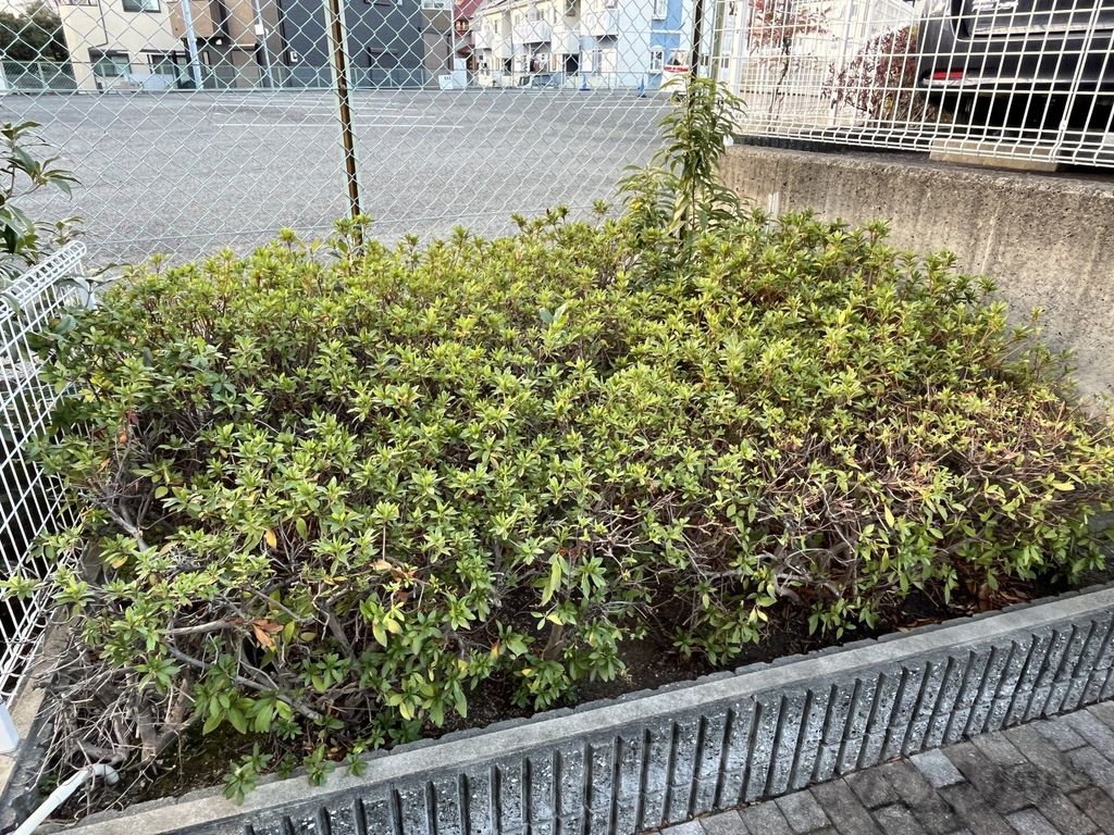 庭　庭