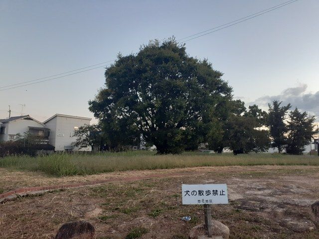 その他　国府遺跡（その他）まで1543m