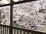 眺望　★春はバルコニーから桜が見えます★
