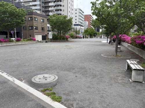 公園　富士見川公園（公園）まで716m