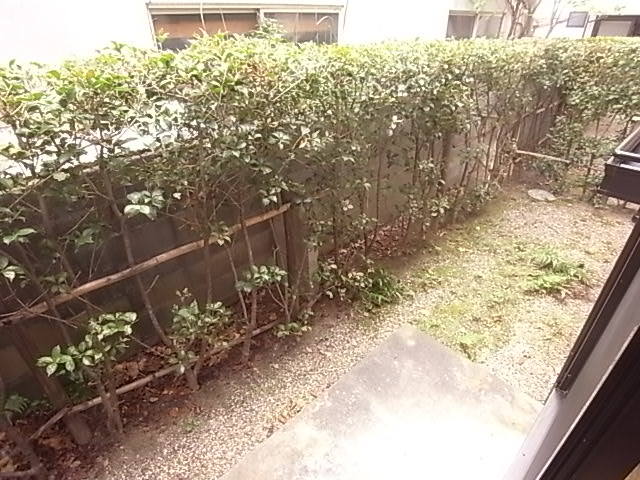 庭