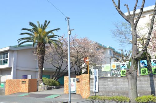 中学校　沖田中学校（中学校）まで1323m