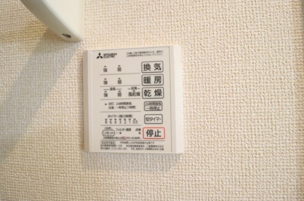 リリー アネラのその他写真