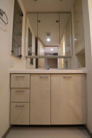 洗面設備　THEパームス南大塚　豊島区南大塚3