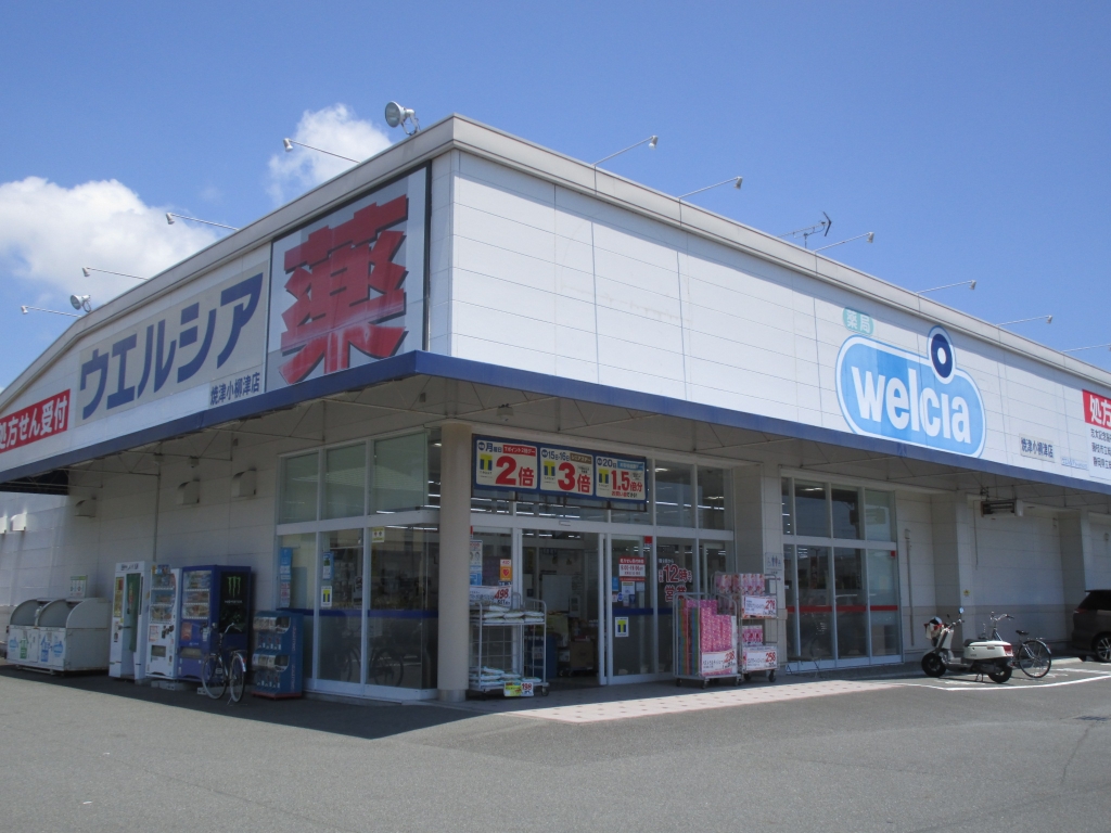ドラックストア　ウェルシア小柳津店（ドラッグストア）まで316m