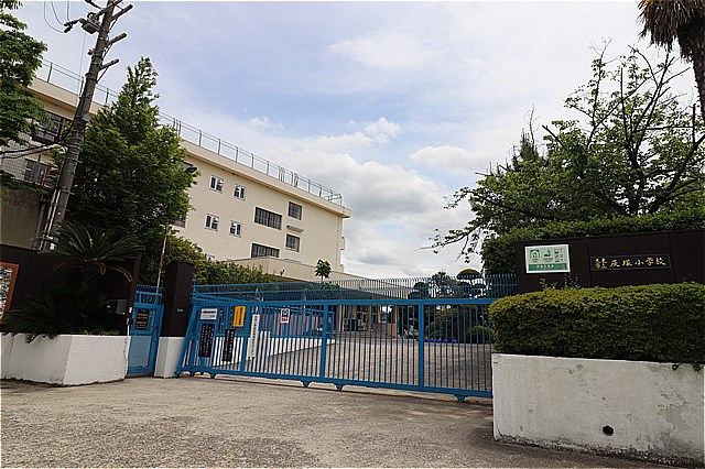 小学校　大東市立灰塚小学校（小学校）まで576m