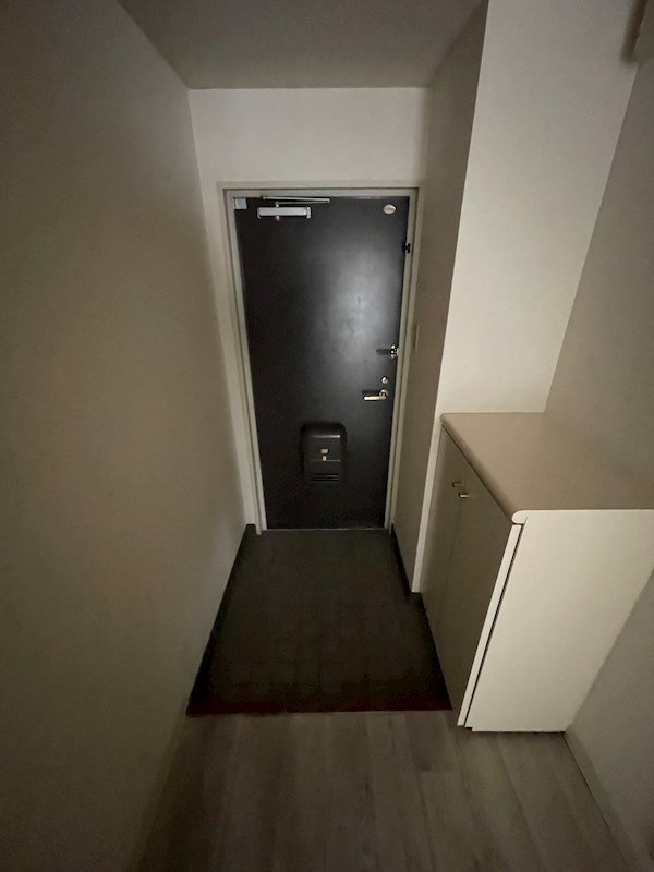 玄関　※同タイプの他のお部屋です