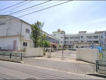 小学校　足立区立花畑小学校（小学校）まで546m