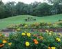 公園　赤塚公園（公園）まで300m