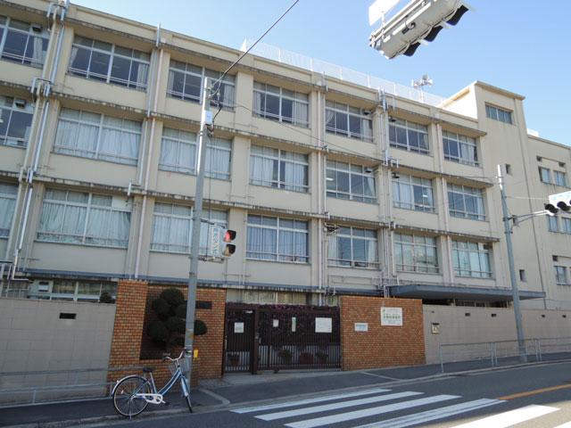 小学校　東井高野小学校（小学校）まで487m