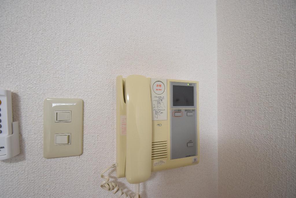 ヴァンキッシュのその他写真