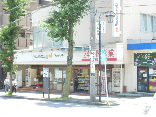スーパー　グルメシティ横浜藤が丘店（スーパー）まで976m