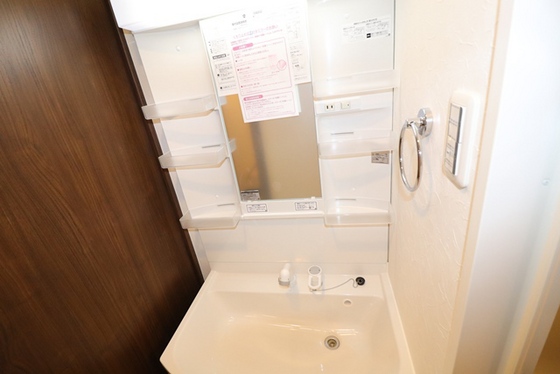 洗面設備　※別号室の写真です