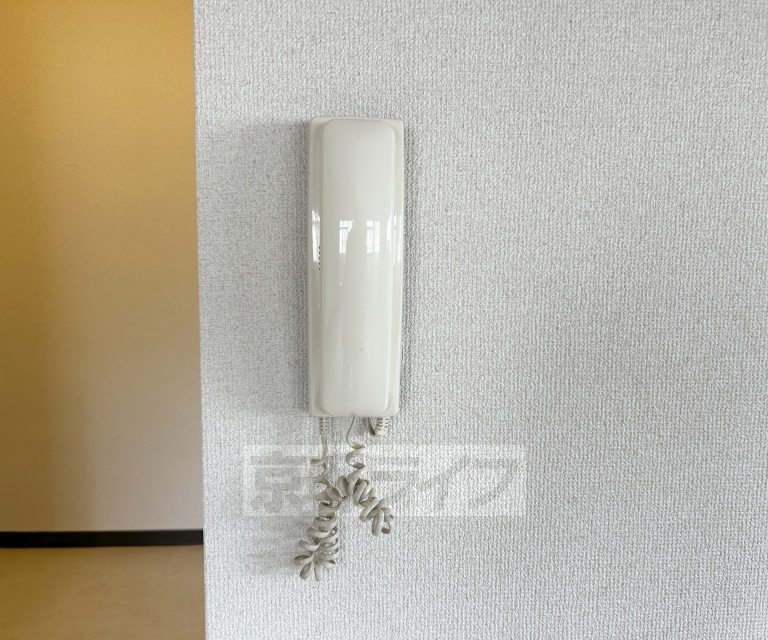 セキュリティ　モニターはございません