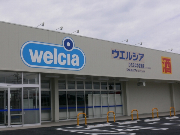その他　ウェルシアひたちなか堂端店（その他）まで1033m