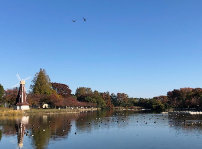 公園　浮間公園（公園）まで709m