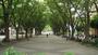 公園　馬事公苑（公園）まで577m