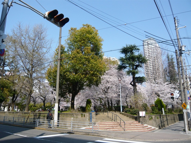 ビオール大阪大手前タワーの周辺写真