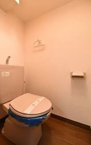 トイレ　参考写真：別部屋タイプ