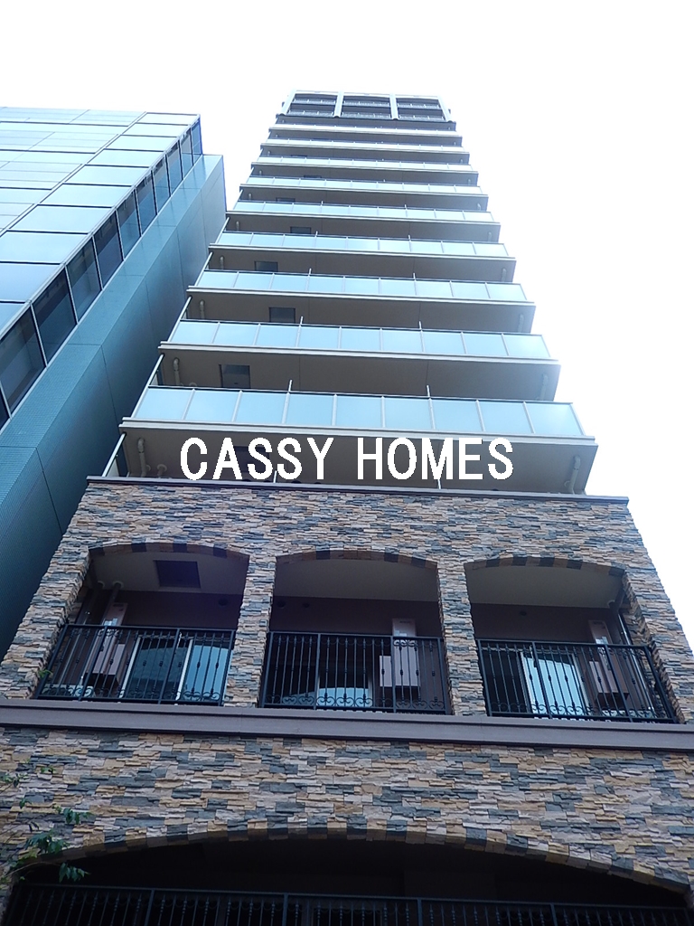 建物外観　2015年竣工　分譲賃貸マンション：外観