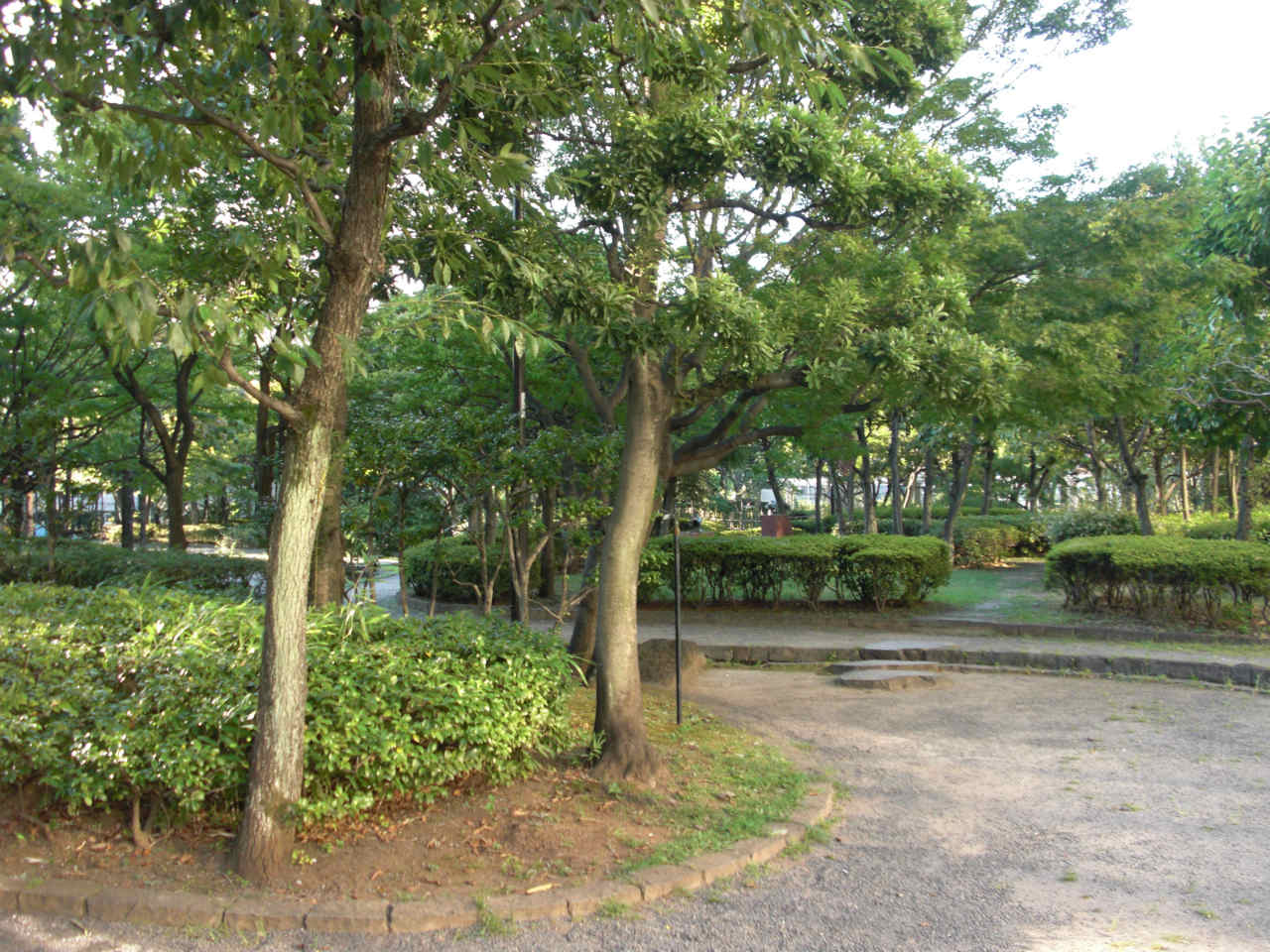 公園　本郷給水所公苑（公園）まで243m