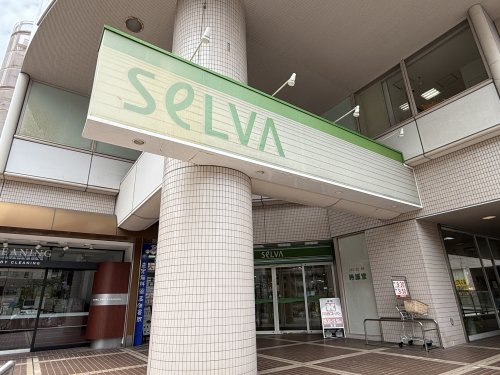 その他　セルバ（その他）まで1044m