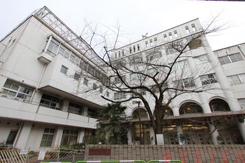 小学校　文京区立湯島小学校（小学校）まで513m