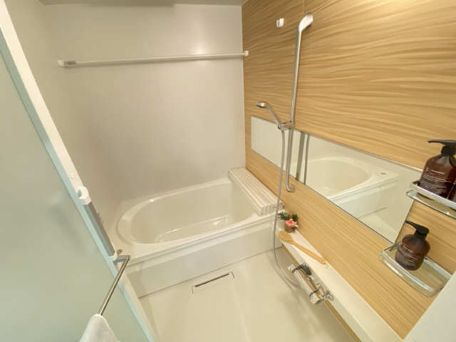 バス・シャワールーム　家具家電は設備ではございません