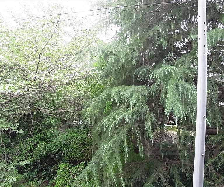 眺望　室外風景