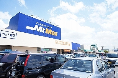 ショッピングセンター　ミスターマックス（ショッピングセンター）まで1000m