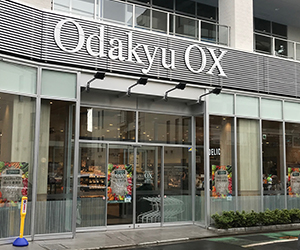 スーパー　OdakyuOX向ヶ丘遊園店（スーパー）まで226m
