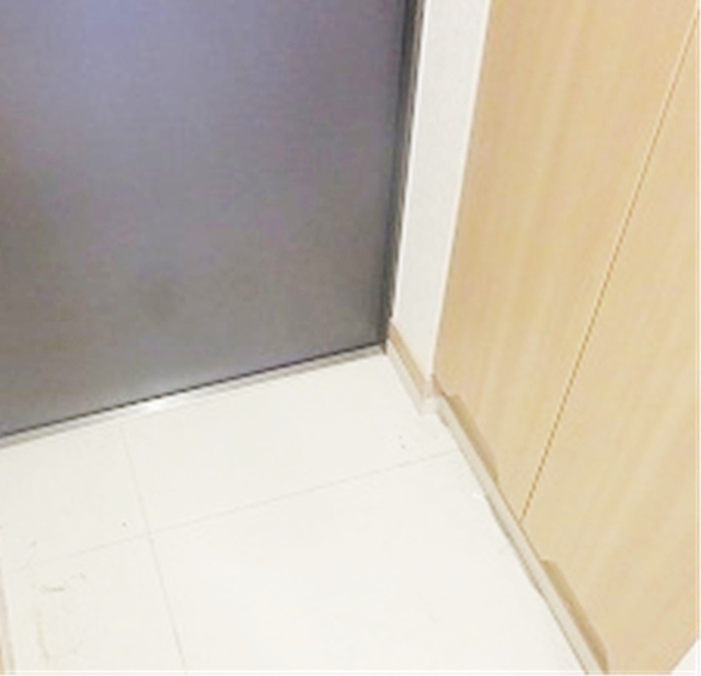 玄関　同仕様参考写真
