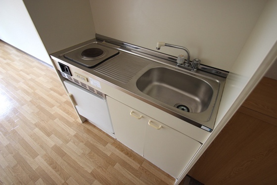 キッチン　※別号室の写真です