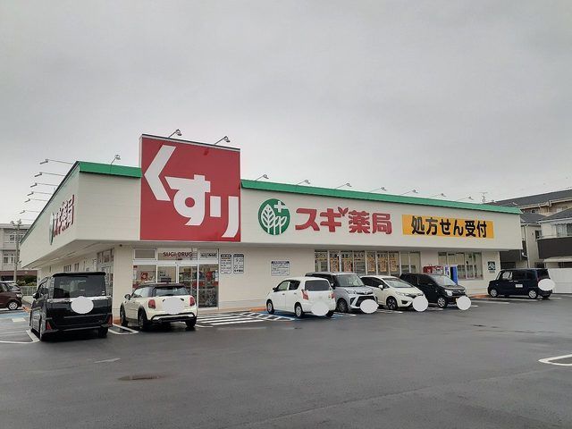 ドラックストア　スギ薬局近江八幡西店（ドラッグストア）まで270m