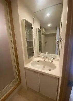 洗面設備　同タイプ部屋　参考写真です